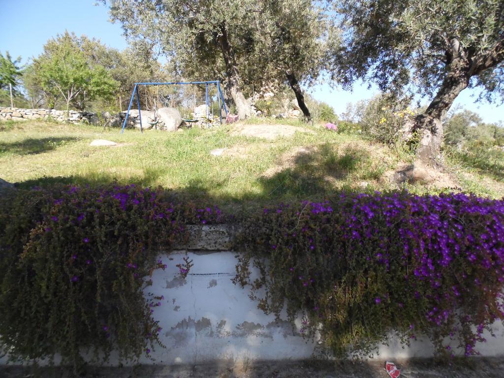 Villa L'Oleandro Oliena Exteriér fotografie