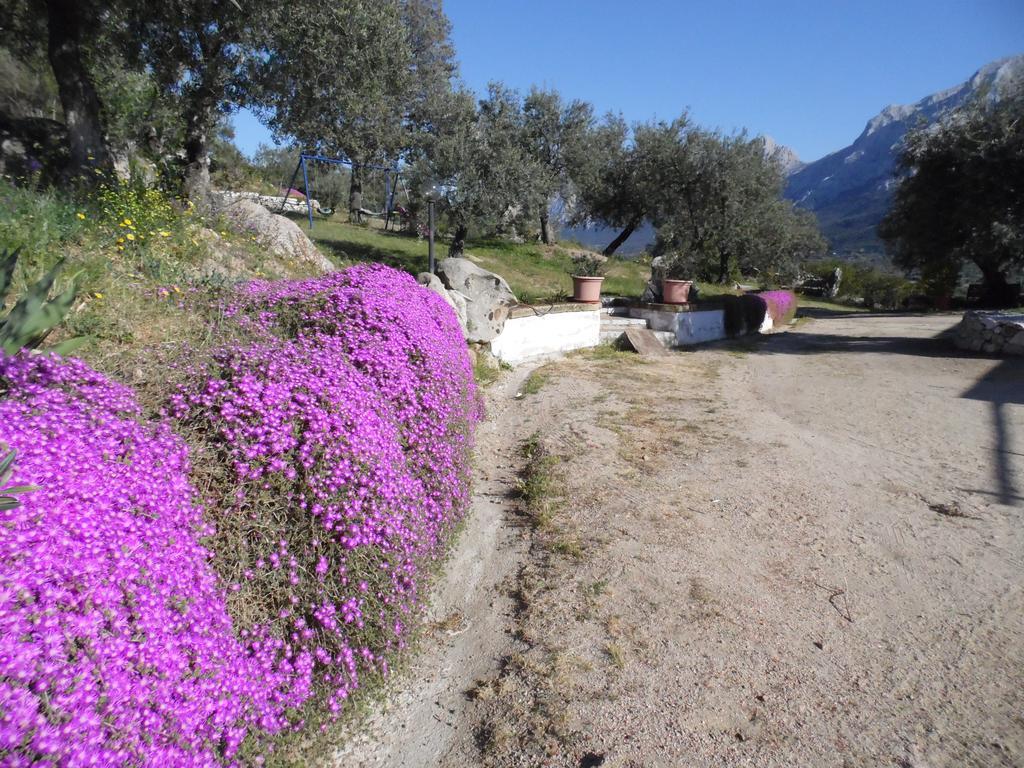Villa L'Oleandro Oliena Exteriér fotografie