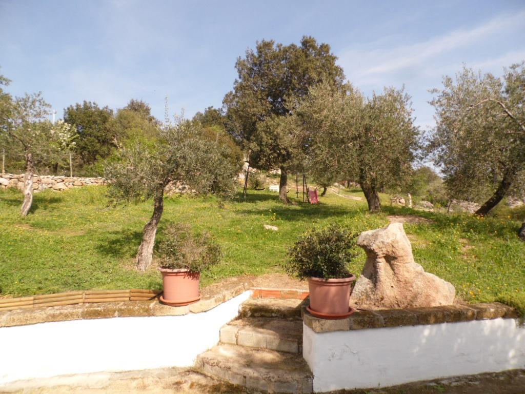 Villa L'Oleandro Oliena Exteriér fotografie