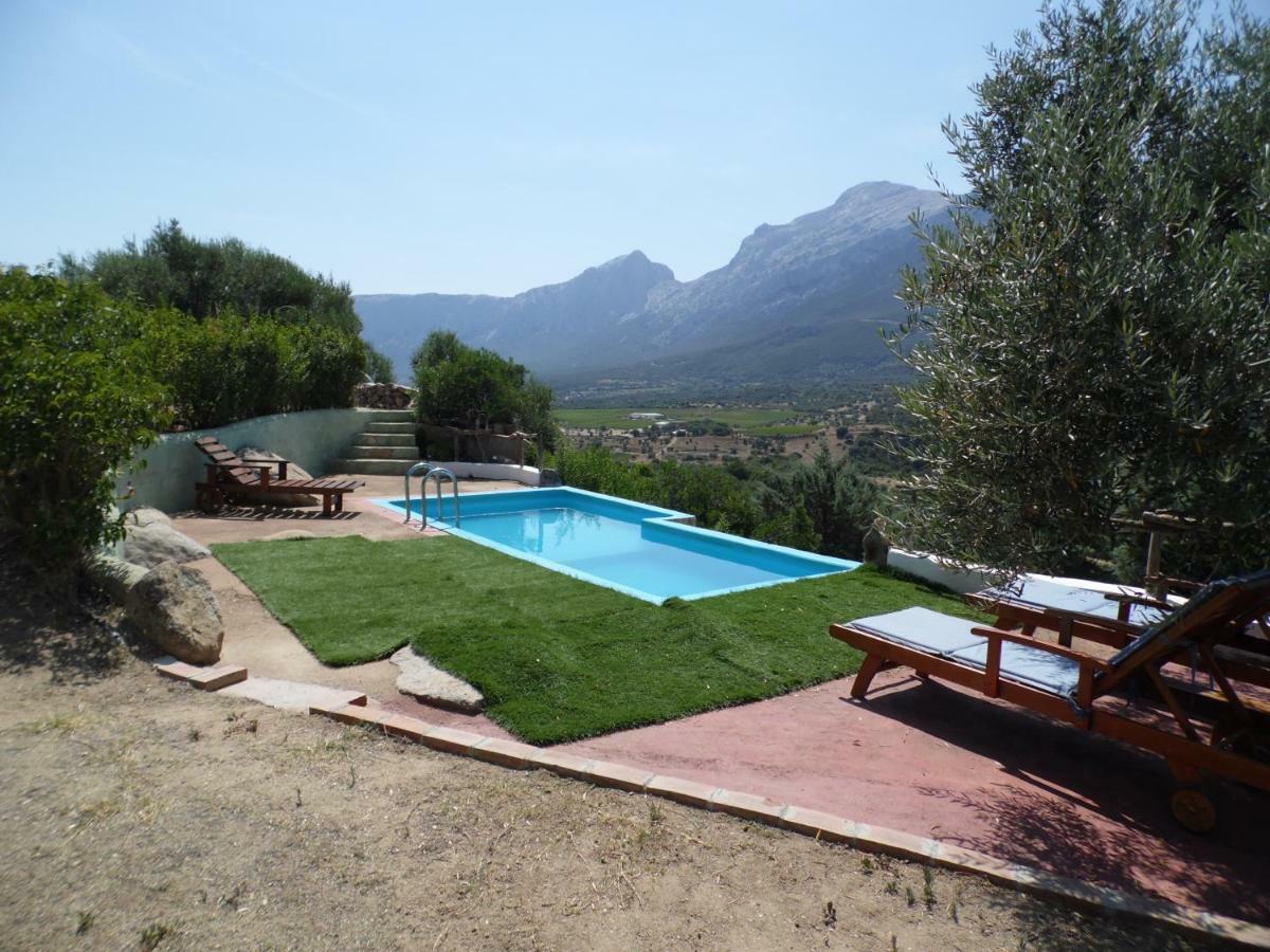 Villa L'Oleandro Oliena Exteriér fotografie