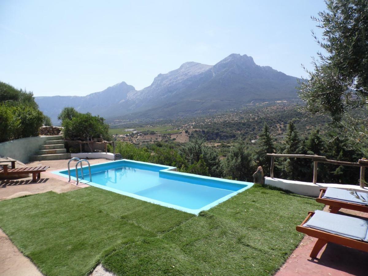 Villa L'Oleandro Oliena Exteriér fotografie
