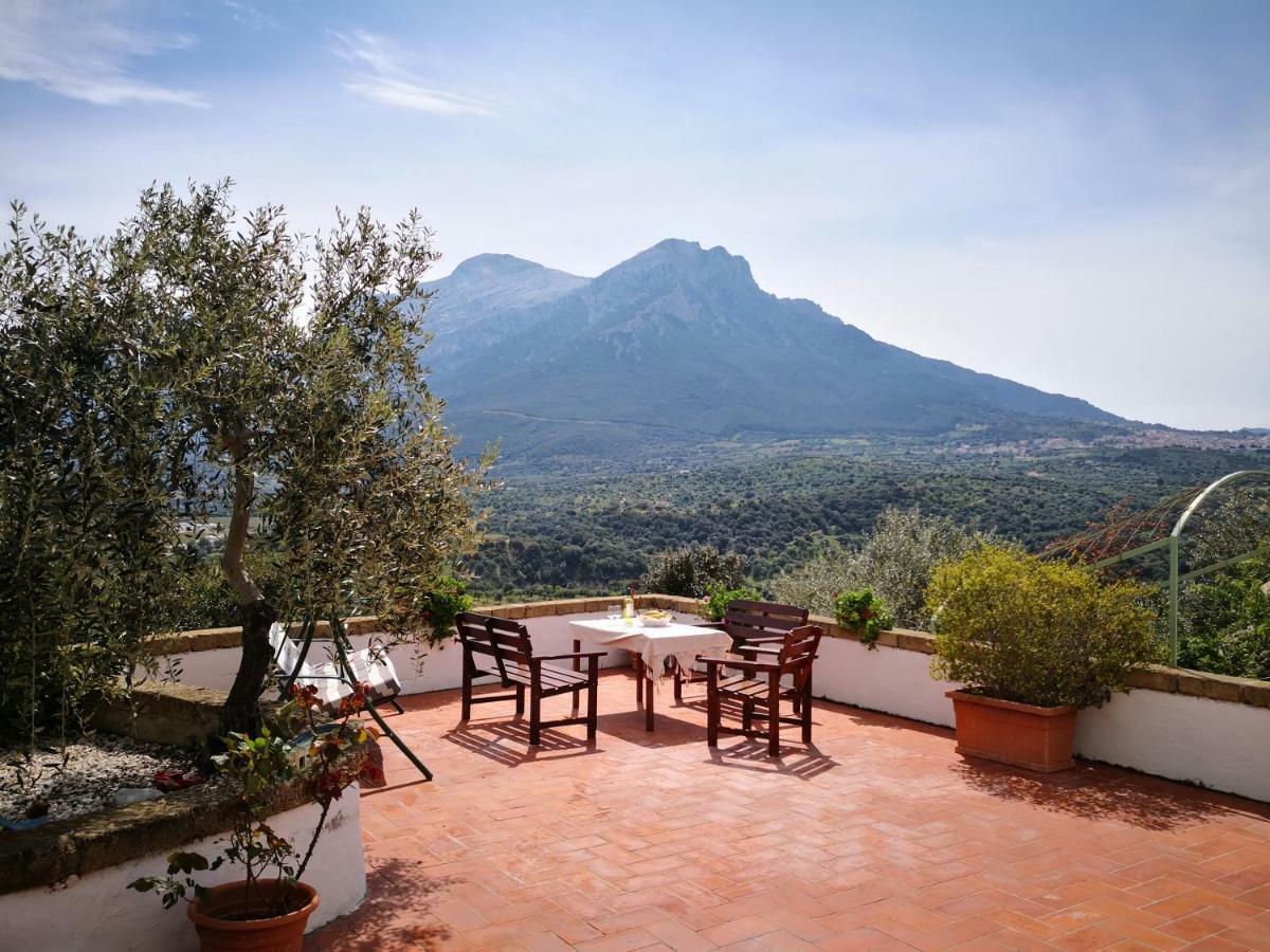 Villa L'Oleandro Oliena Exteriér fotografie
