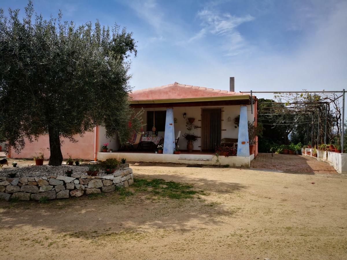 Villa L'Oleandro Oliena Exteriér fotografie