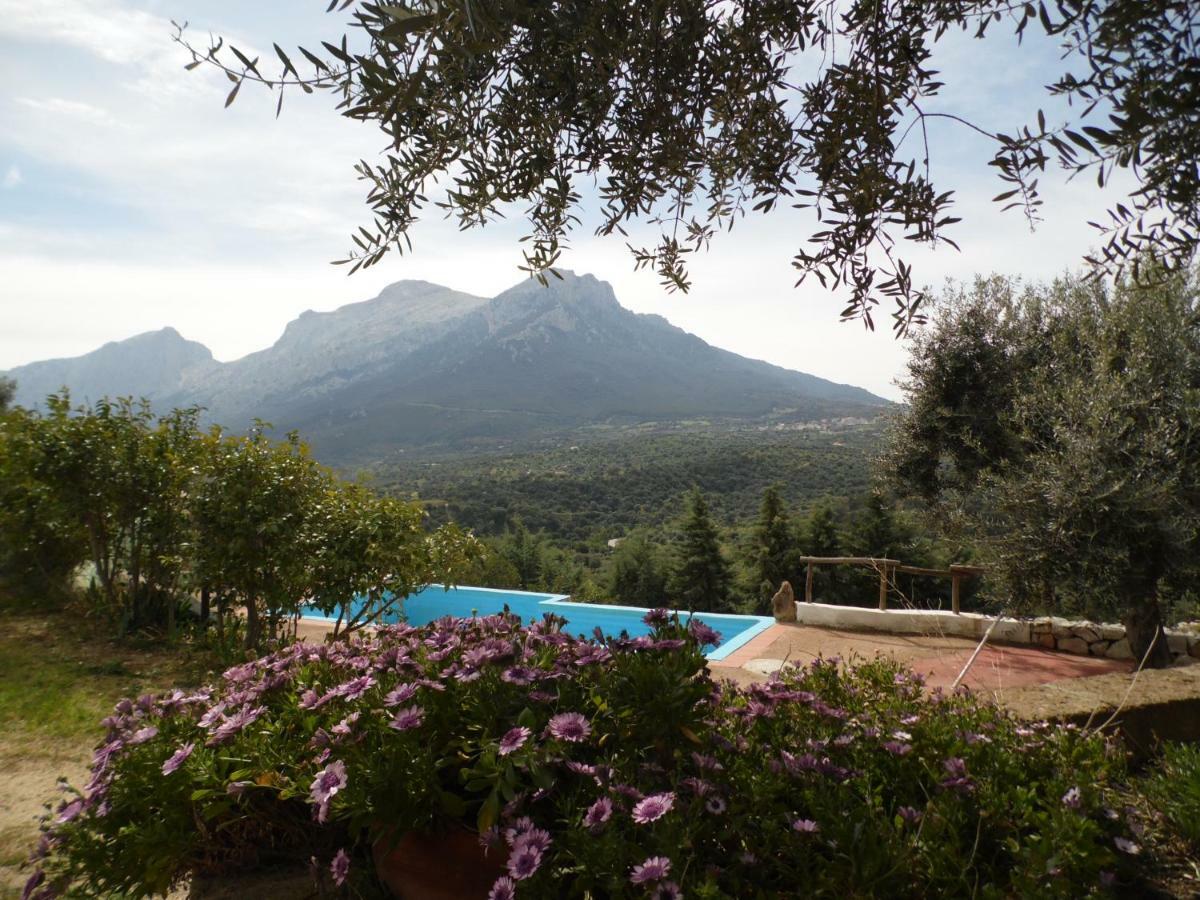 Villa L'Oleandro Oliena Exteriér fotografie