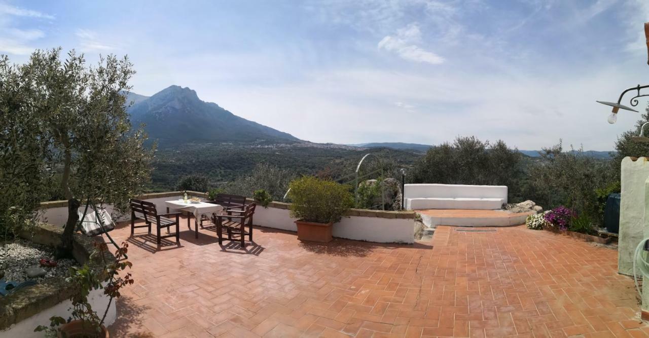 Villa L'Oleandro Oliena Exteriér fotografie
