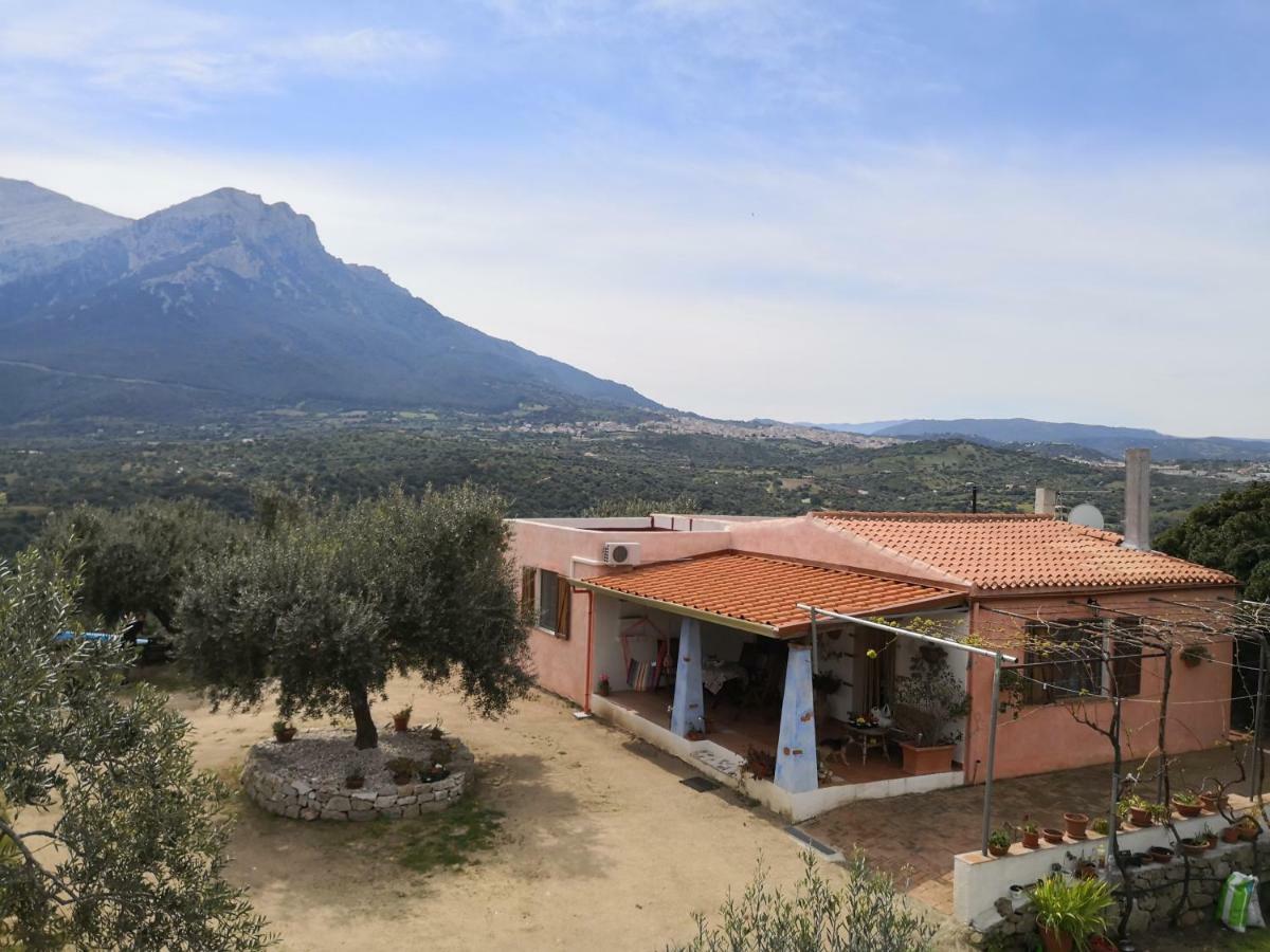 Villa L'Oleandro Oliena Exteriér fotografie