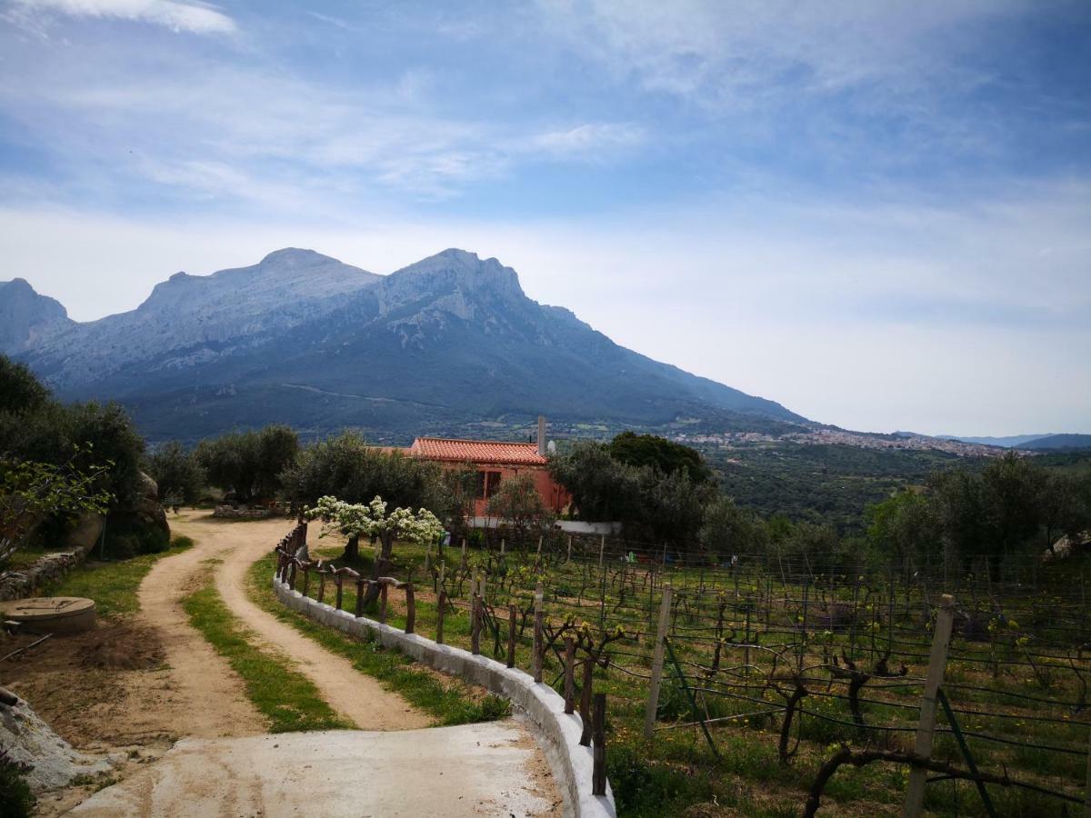 Villa L'Oleandro Oliena Exteriér fotografie
