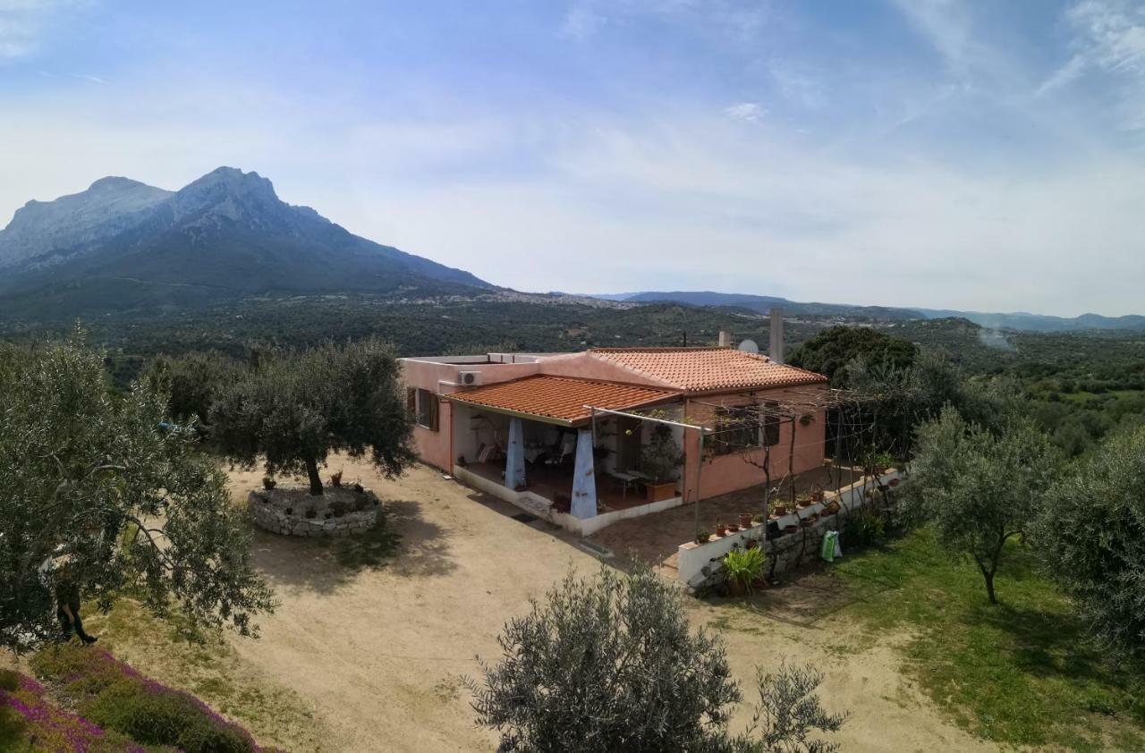 Villa L'Oleandro Oliena Exteriér fotografie