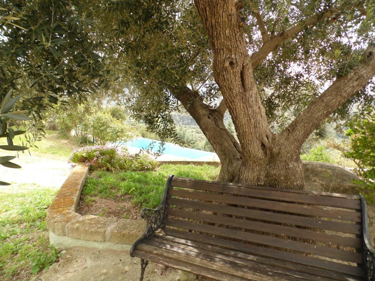 Villa L'Oleandro Oliena Exteriér fotografie