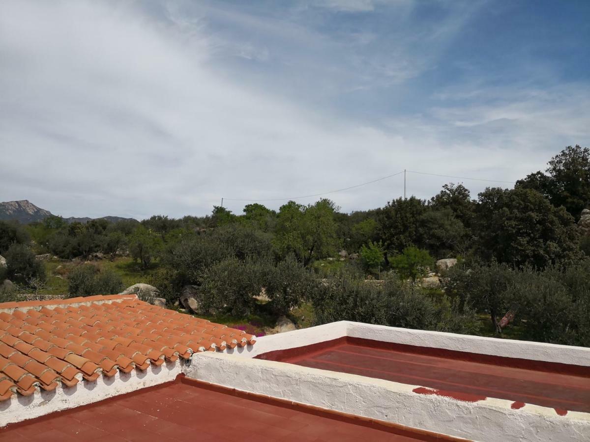 Villa L'Oleandro Oliena Exteriér fotografie