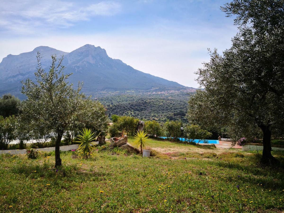 Villa L'Oleandro Oliena Exteriér fotografie