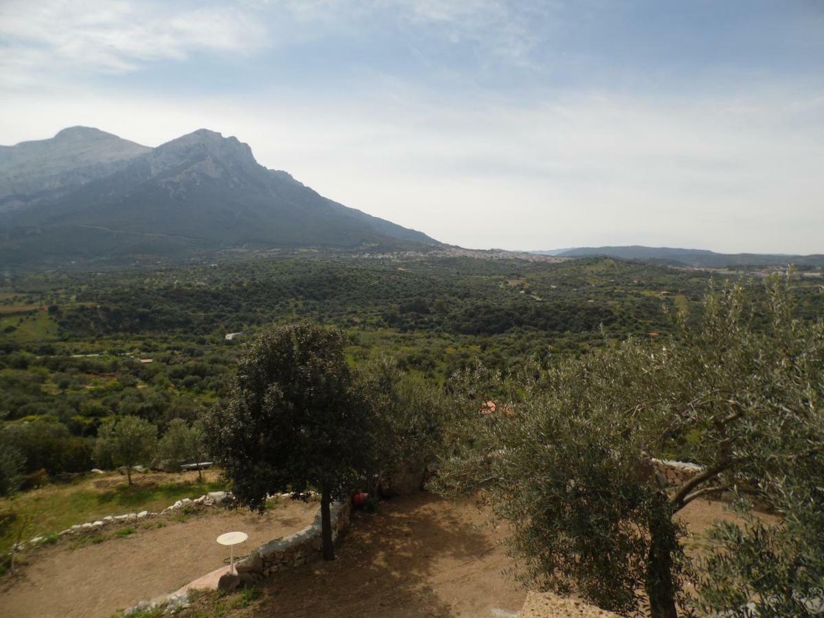 Villa L'Oleandro Oliena Exteriér fotografie